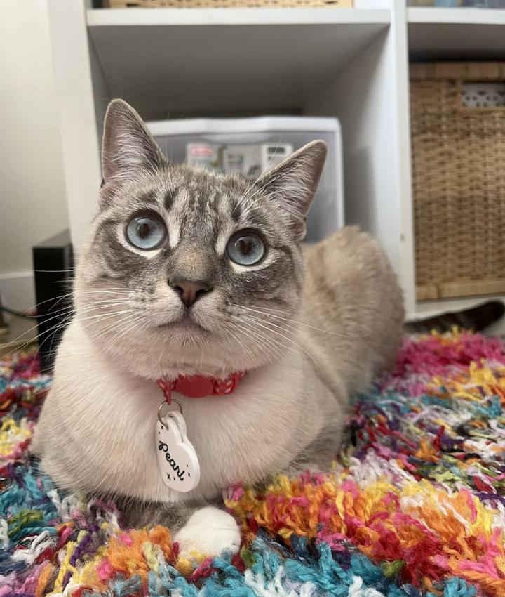 Portrait of Amelia